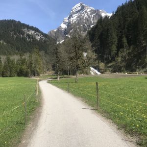 Mythen Praline Pistachio (white)