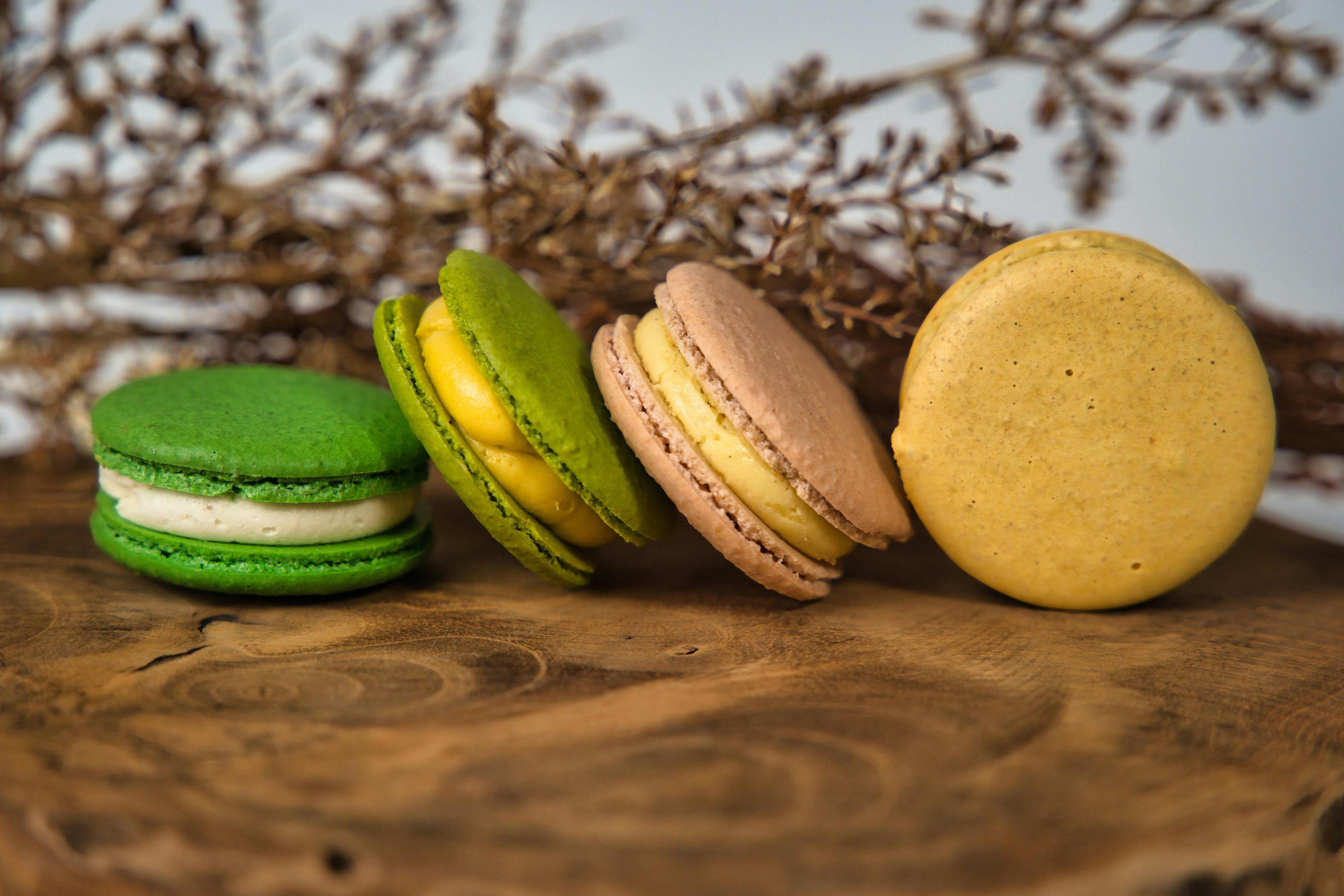 3H- Macaron – (Coming soon – In Production)