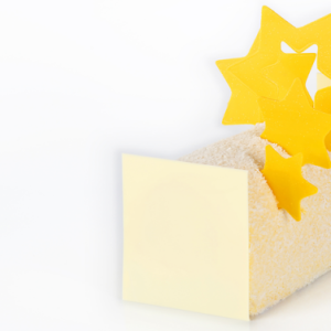 VEGEN (Bûche Exotic Vegan) (Coming Soon)