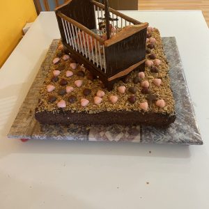 New Born Baby